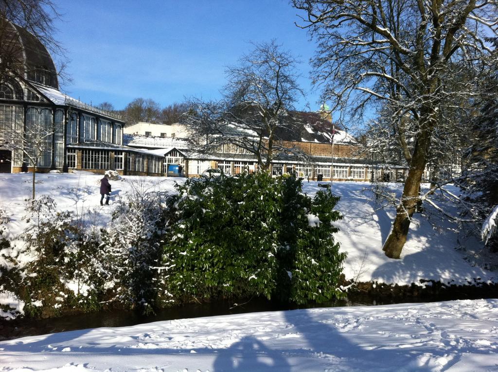 Solomons Peak Apartment Buxton  Eksteriør bilde